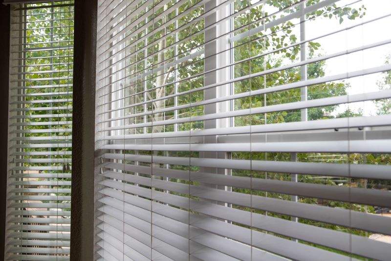 Venetian Blinds Cleaning in Prescott Valley, AZ